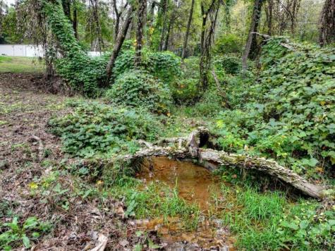 Tr 2 Davis Road Blue Ridge GA 30513