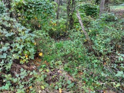 Tr 2 Davis Road Blue Ridge GA 30513