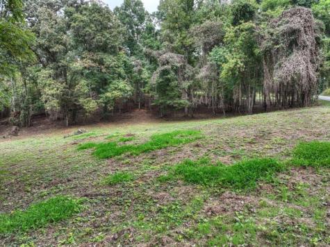 Tr 2 Davis Road Blue Ridge GA 30513