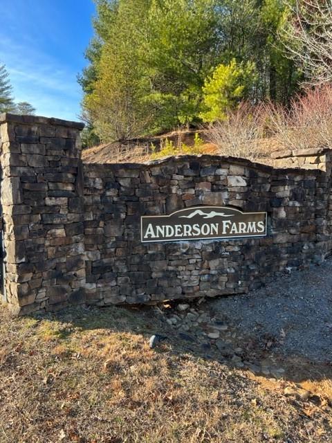 Lot 9 Robert Drive Ellijay GA 30536