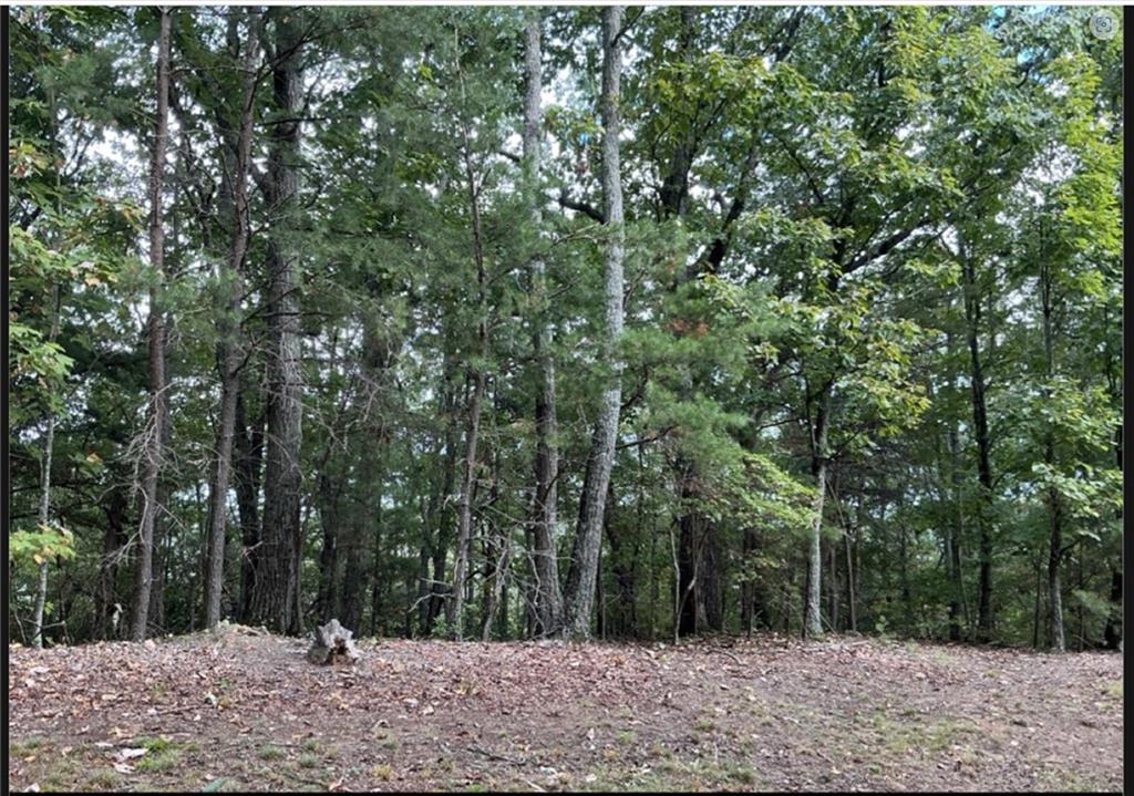 0 W Farmview Road Talking Rock GA 30175