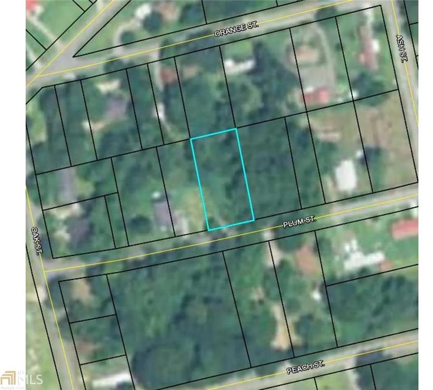 145 Plum Street Haddock GA 31032