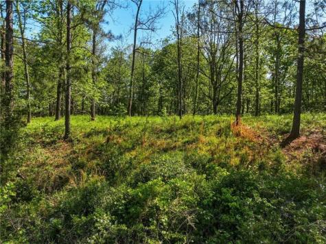 Lot 1 Summit Drive Dahlonega GA 30533