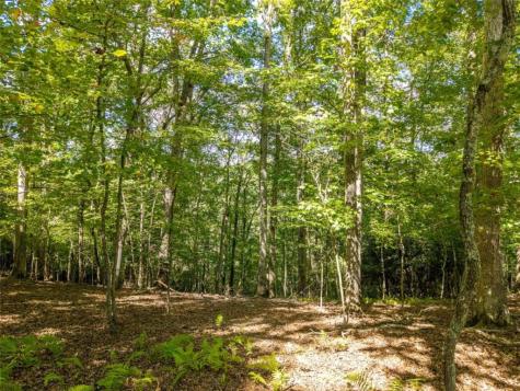 Lt 27/ Donna Lee Lane Mineral Bluff GA 30559