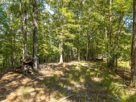 Lt 27/ Donna Lee Lane Mineral Bluff GA 30559