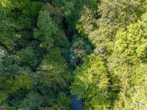 Lt 27/ Donna Lee Lane Mineral Bluff GA 30559