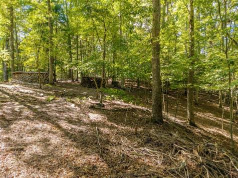 Lt 27/ Donna Lee Lane Mineral Bluff GA 30559