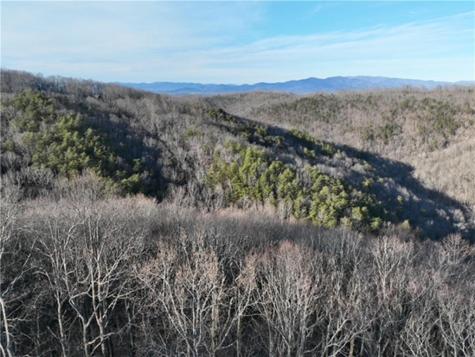 249 Andes Ridge Ellijay GA 30536