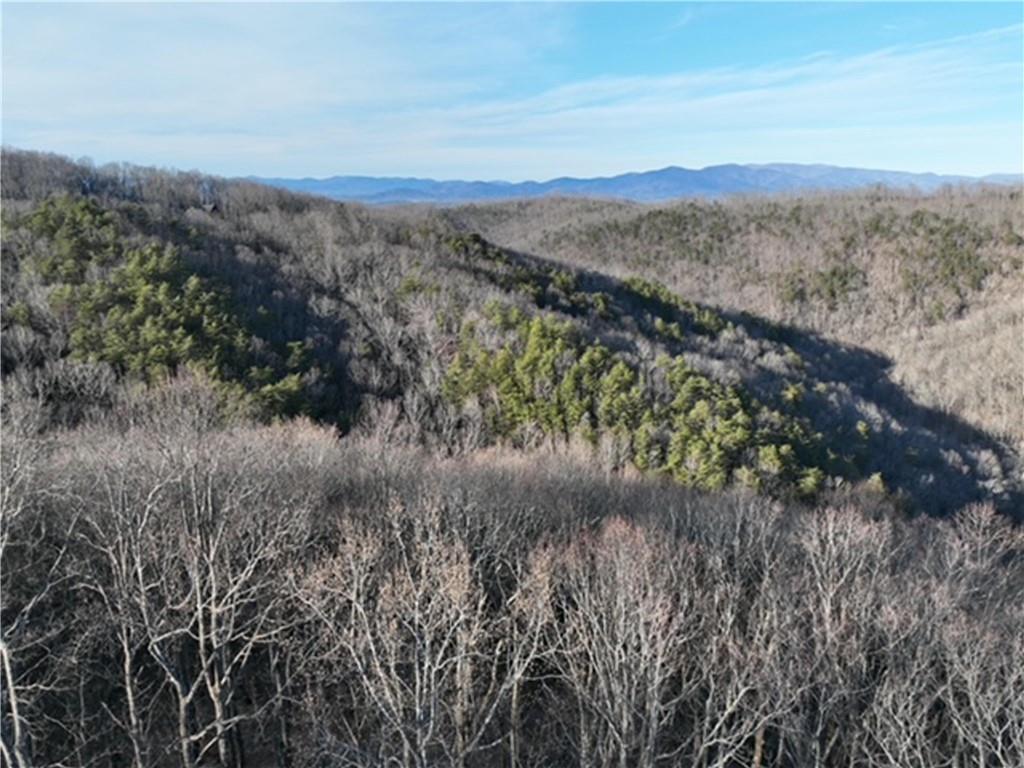 249 Andes Ridge Ellijay GA 30536