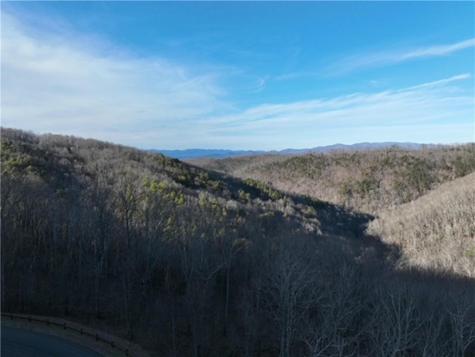 249 Andes Ridge Ellijay GA 30536