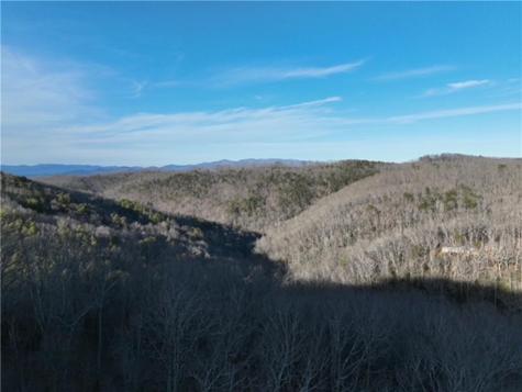249 Andes Ridge Ellijay GA 30536