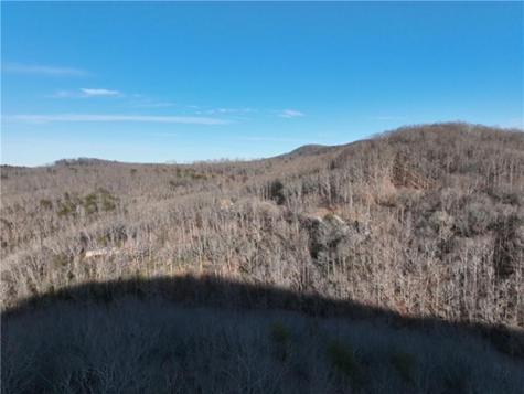 249 Andes Ridge Ellijay GA 30536