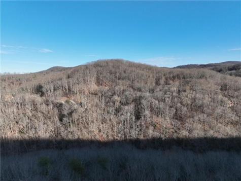 249 Andes Ridge Ellijay GA 30536