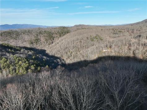249 Andes Ridge Ellijay GA 30536