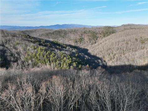 249 Andes Ridge Ellijay GA 30536