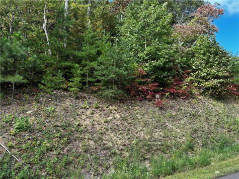 249 Andes Ridge Ellijay GA 30536