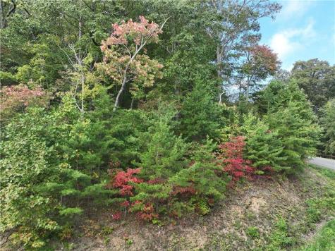 249 Andes Ridge Ellijay GA 30536