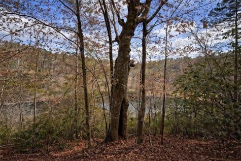 0 Hamlet Court Ellijay GA 30540
