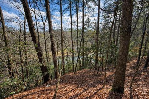 0 Hamlet Court Ellijay GA 30540