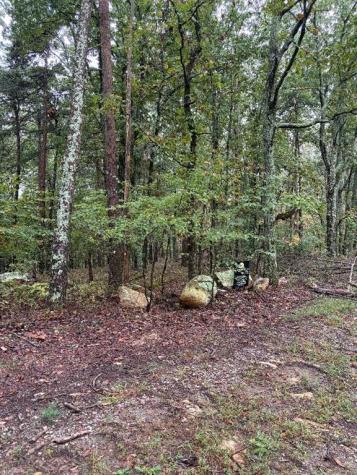 0 Quartz Court Jasper GA 30143
