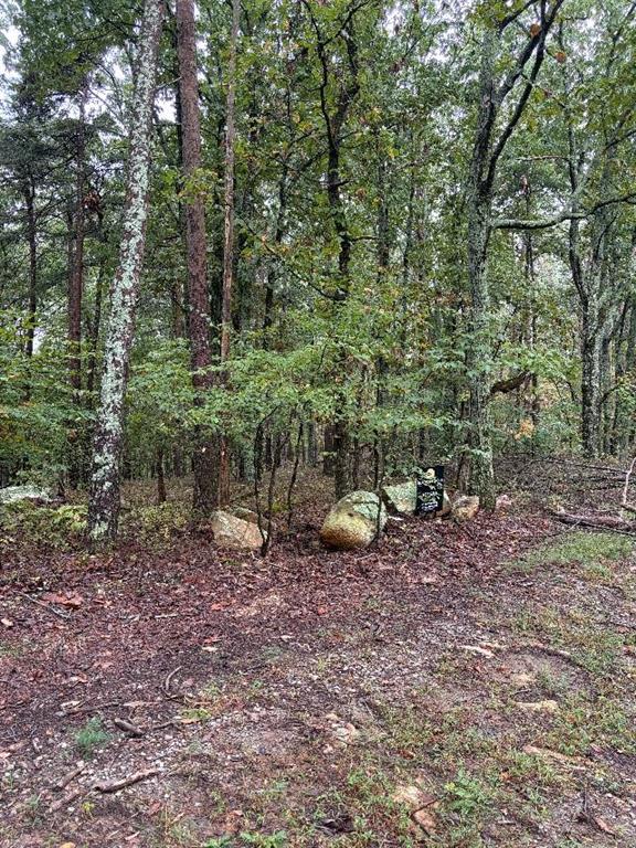 0 Quartz Court Jasper GA 30143