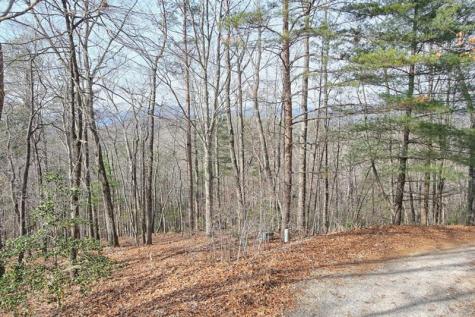 410 Chestnut Hills Road Clarkesville GA 30523