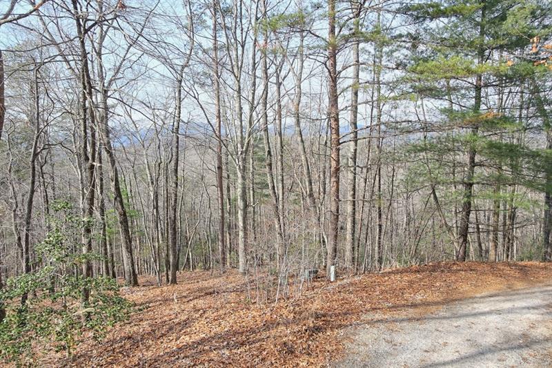 410 Chestnut Hills Road Clarkesville GA 30523