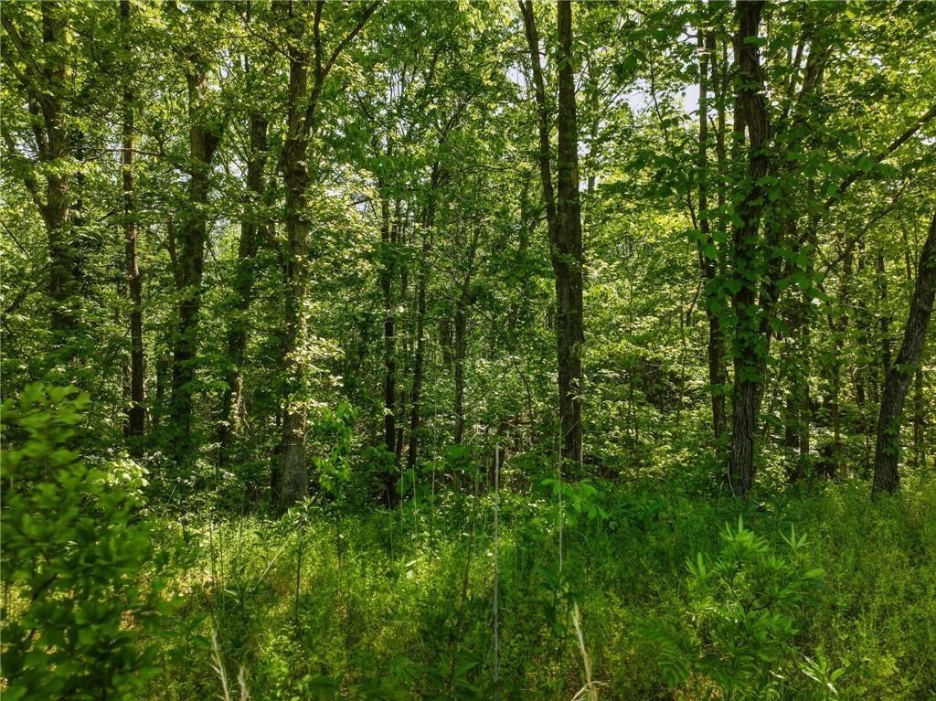Lot 5 Summit Drive Dahlonega GA 30533