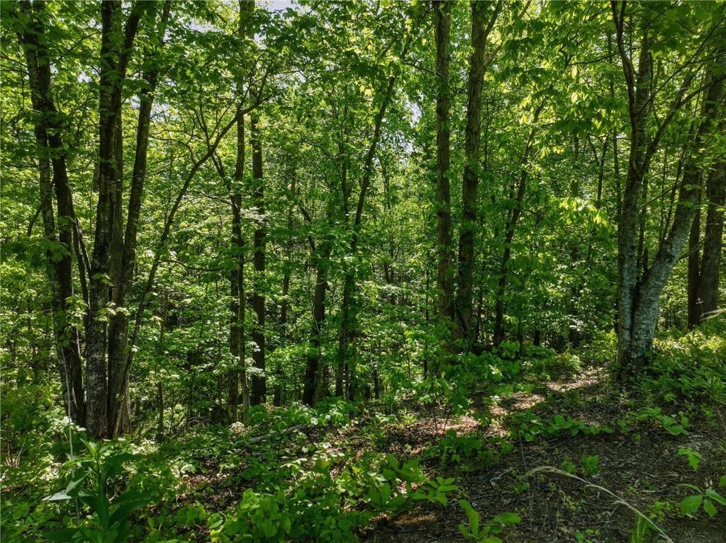 Lot 5 Summit Drive Dahlonega GA 30533