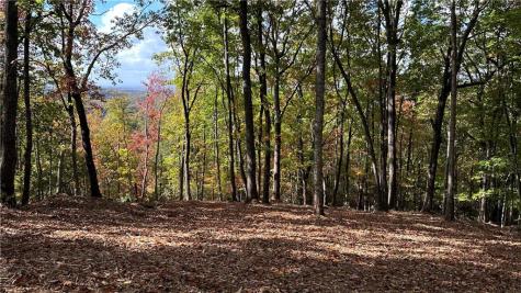 Lot 28 Long Mountain Road Cleveland GA 30528