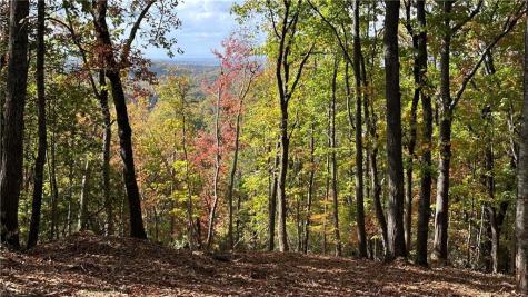 Lot 28 Long Mountain Road Cleveland GA 30528