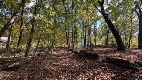 Lot 28 Long Mountain Road Cleveland GA 30528