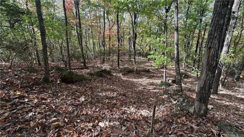 Lot 28 Long Mountain Road Cleveland GA 30528