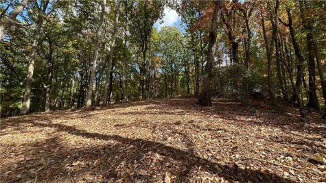 Lot 28 Long Mountain Road Cleveland GA 30528