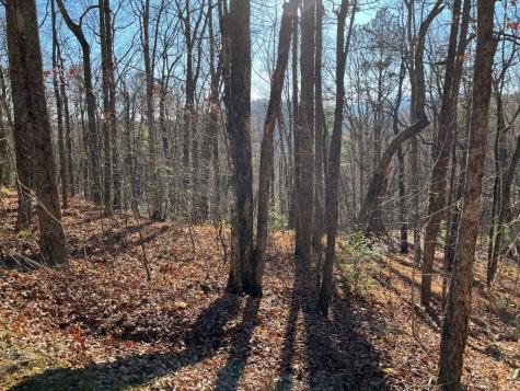 Lot #1 Forest Canopy Way Clayton GA 30525