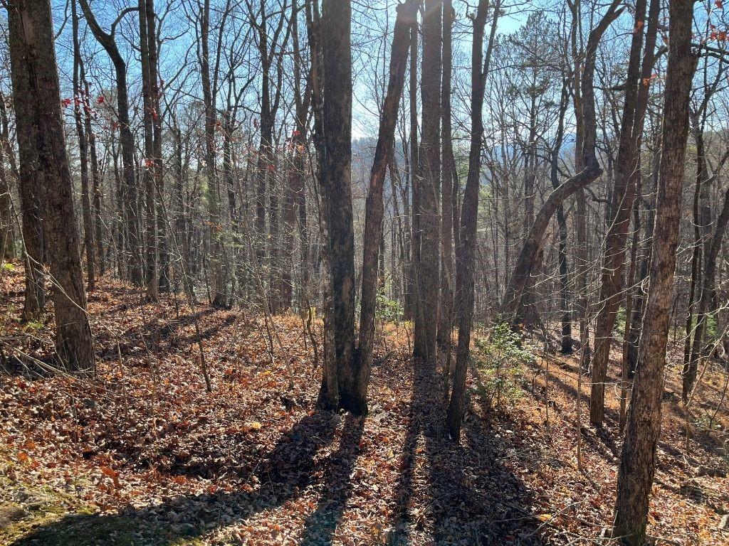 Lot #1 Forest Canopy Way Clayton GA 30525