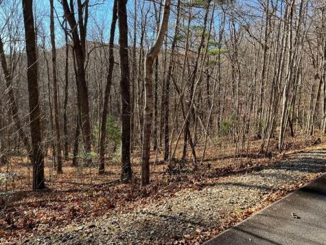 Lot #1 Forest Canopy Way Clayton GA 30525