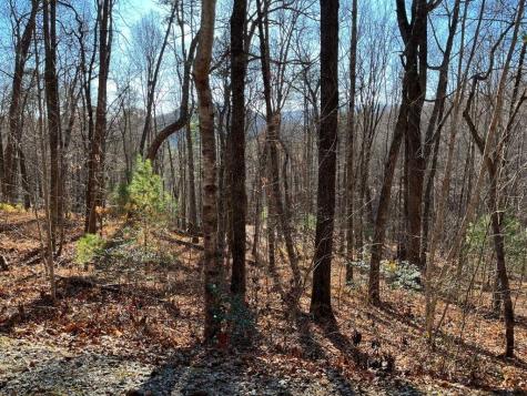 Lot #1 Forest Canopy Way Clayton GA 30525