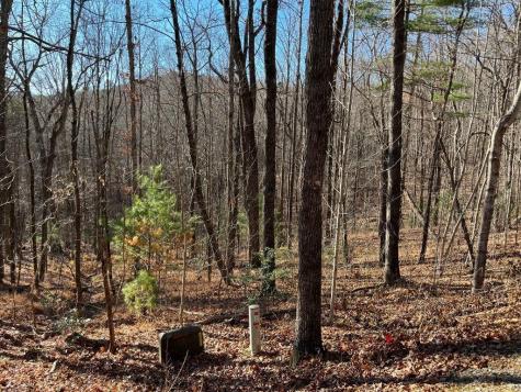 Lot #1 Forest Canopy Way Clayton GA 30525