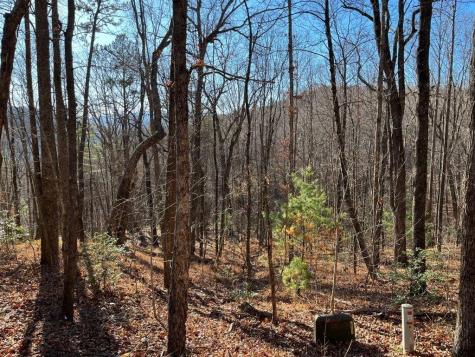 Lot #1 Forest Canopy Way Clayton GA 30525