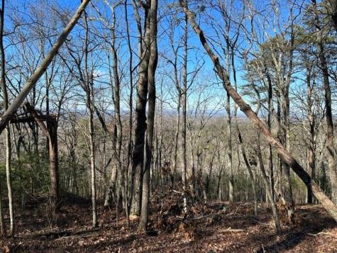 0 Ridgeside Court Jasper GA 30143