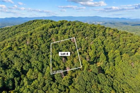 Lot 4 Firetower Jasper GA 30143