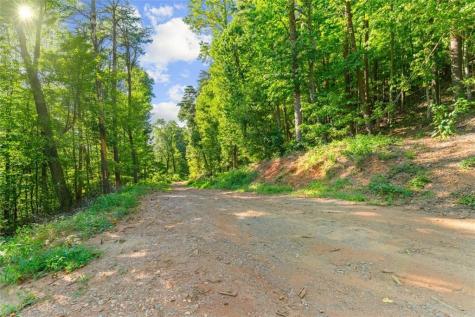 Lot 4 Firetower Jasper GA 30143
