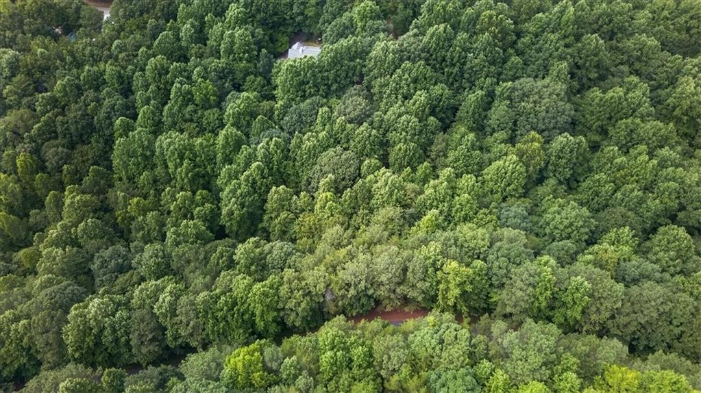 0 Ginger Drive Jasper GA 30143