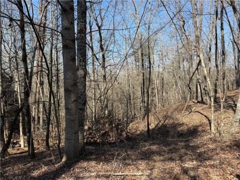 62 Miners Place Dahlonega GA 30533
