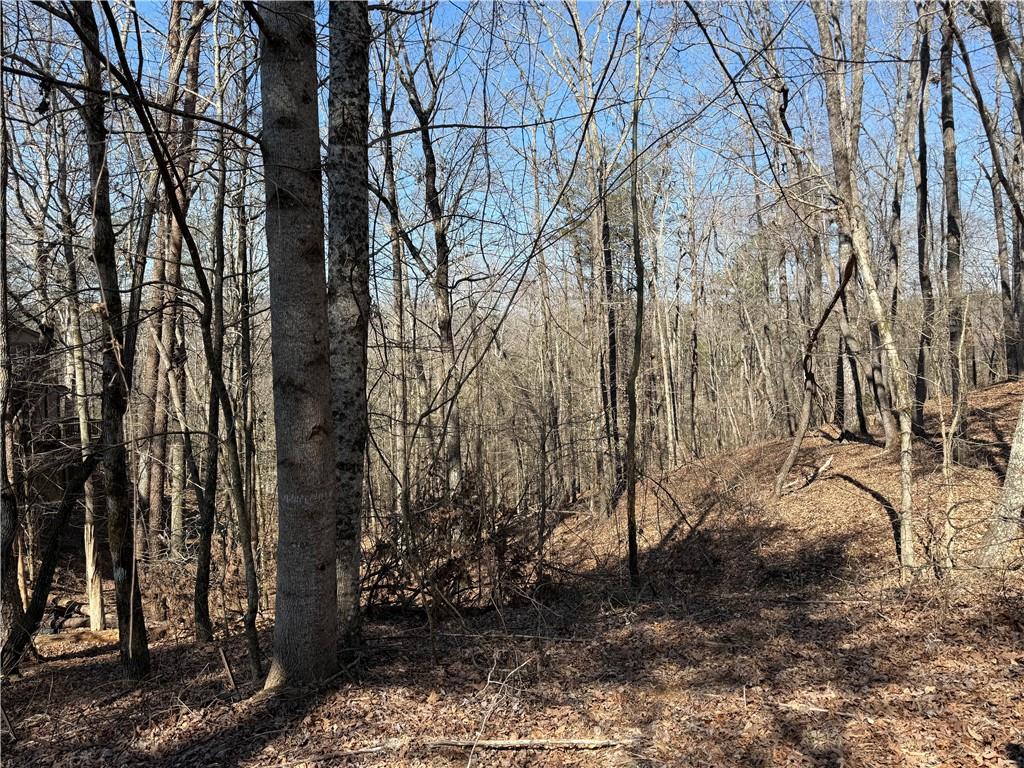 62 Miners Place Dahlonega GA 30533