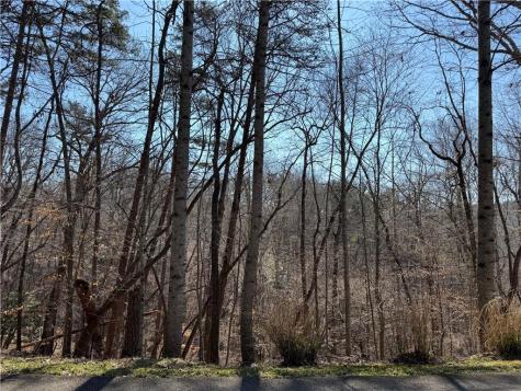 62 Miners Place Dahlonega GA 30533