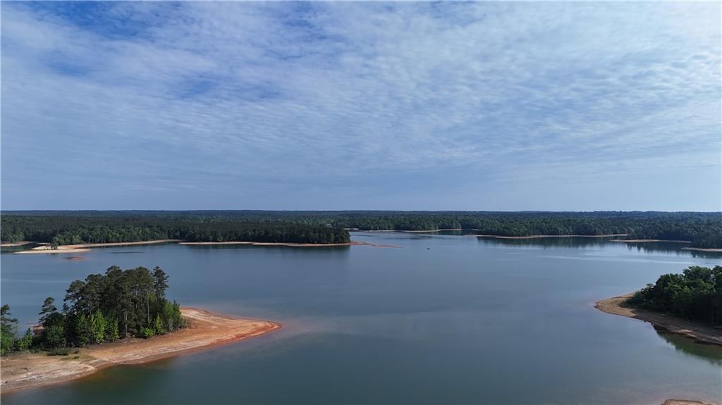 1000 Hidden Harbor Road Lincolnton GA 30817