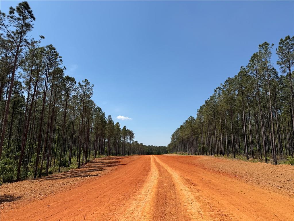 1000 Hidden Harbor Road Lincolnton GA 30817