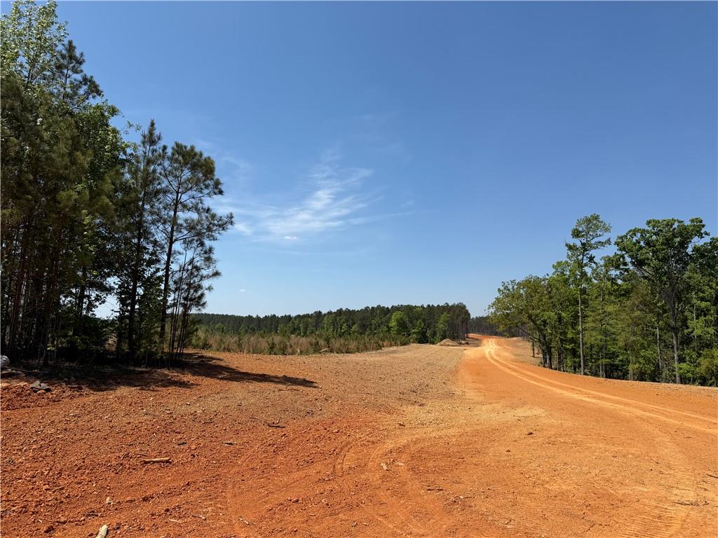 1000 Hidden Harbor Road Lincolnton GA 30817